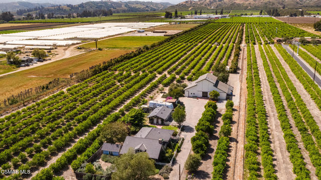 13721 Telegraph Road, Santa Paula CA: https://media.crmls.org/mediaz/0d4a329f-4e13-4b6e-93a4-227d4246d034.jpg