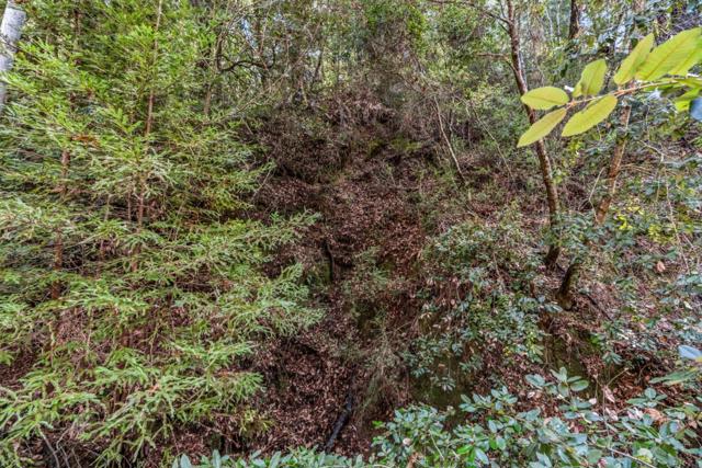 0 Antler Street, Felton CA: https://media.crmls.org/mediaz/0d4cffcd-54af-4402-a4ad-8420d37f0d67.jpg