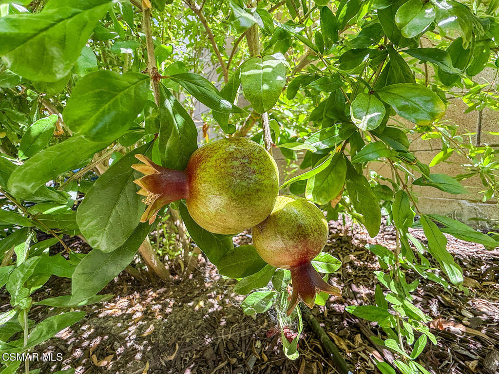 https://media.crmls.org/mediaz/0d52483a-d960-4366-95e2-ab85a632e350.jpg?preset=X-Large