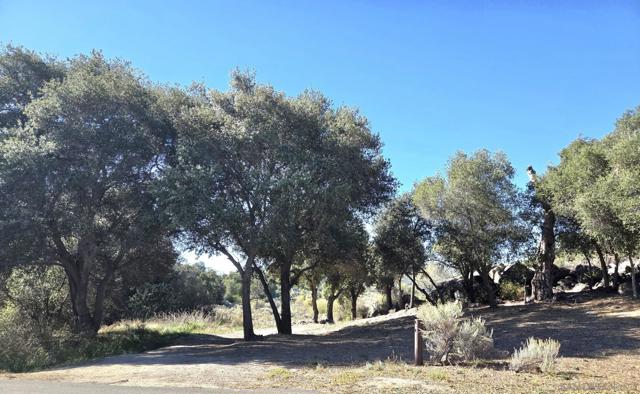 2581 Lake Shore Drive, Campo CA: https://media.crmls.org/mediaz/0d532eec-c73d-44dc-b0ba-993c50f972d4.jpg