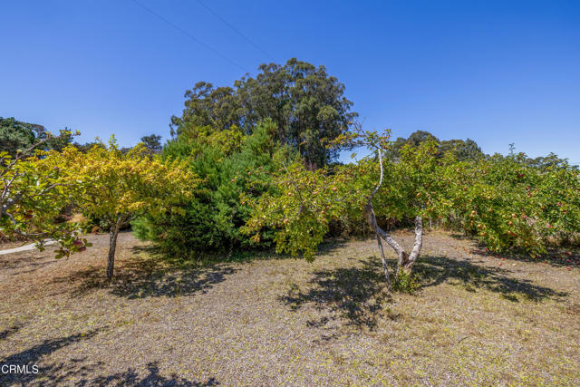 Detail Gallery Image 36 of 43 For 18700 Hare Creek Ter, Fort Bragg,  CA 95437 - 3 Beds | 0 Baths