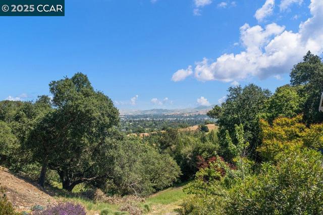 18 Diablo Oaks Way, Lafayette CA: https://media.crmls.org/mediaz/0d5b6e8b-6fe5-4120-97d6-01da72749d9d.jpg
