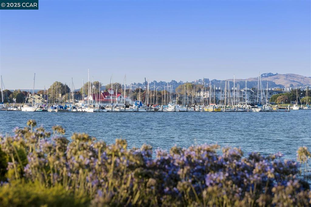 MLS #41094444 image #46