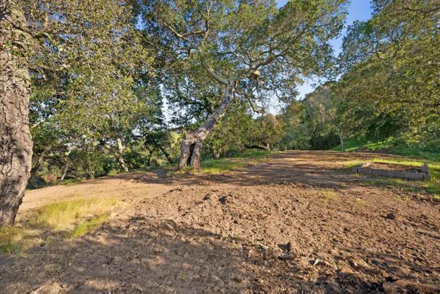 3533 Springhill Road, Lafayette CA: https://media.crmls.org/mediaz/0d6235ff-5d8b-4251-9f97-5ea25d0b952d.jpg