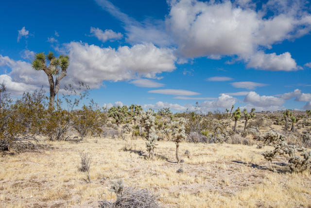 5610 Yucca Mesa Road, Yucca Valley CA: https://media.crmls.org/mediaz/0d67c8a6-ea93-40f7-b1ce-fb0ff2487c7b.jpg