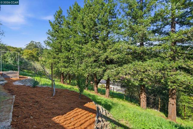 102 Hillcrest Dr, Orinda CA: https://media.crmls.org/mediaz/0d6871c1-0999-4798-86bc-cf0eb21b1596.jpg