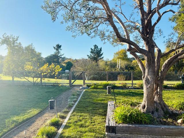 MLS #ML82028139 image #30