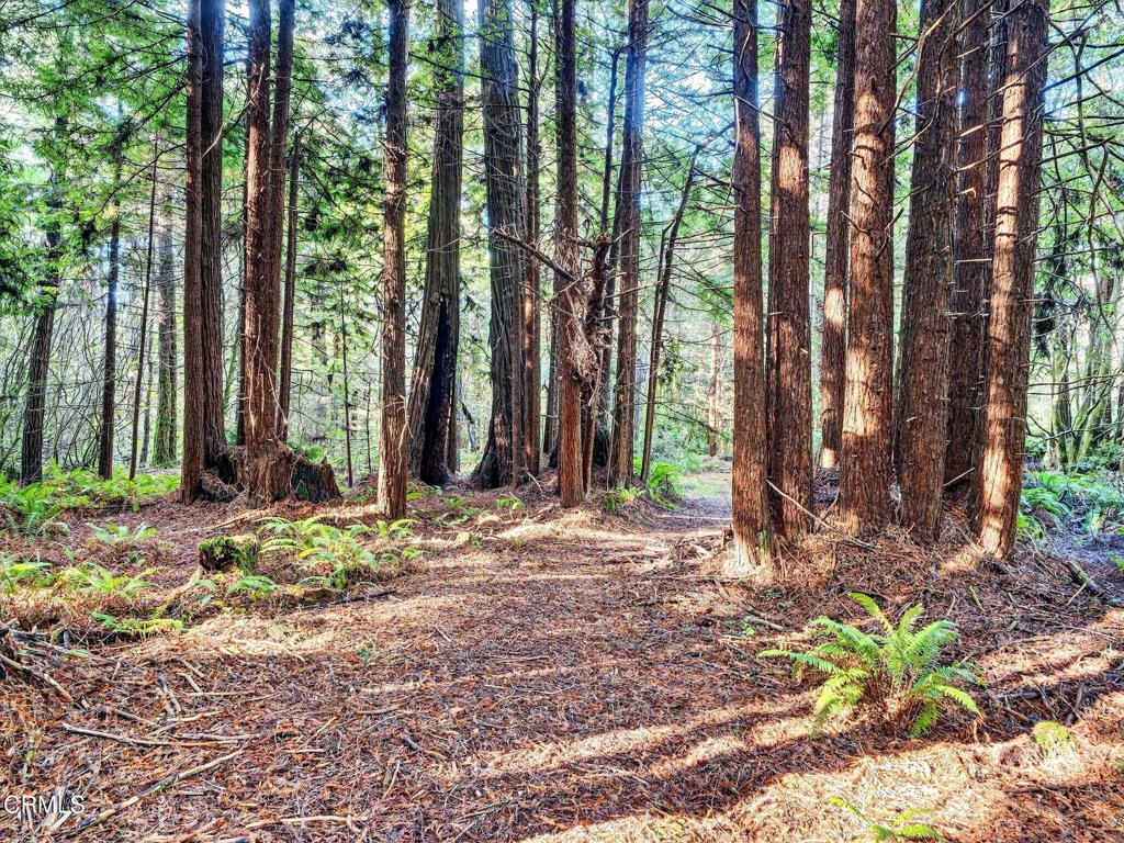 https://media.crmls.org/mediaz/0d83091d-235c-410c-a064-50bfcacf289b.jpg?preset=X-Large