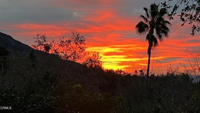 2880 Holliston Avenue, Altadena CA: https://media.crmls.org/mediaz/0d86ad81-930d-44d5-b652-ef49ee82d4b6.jpg