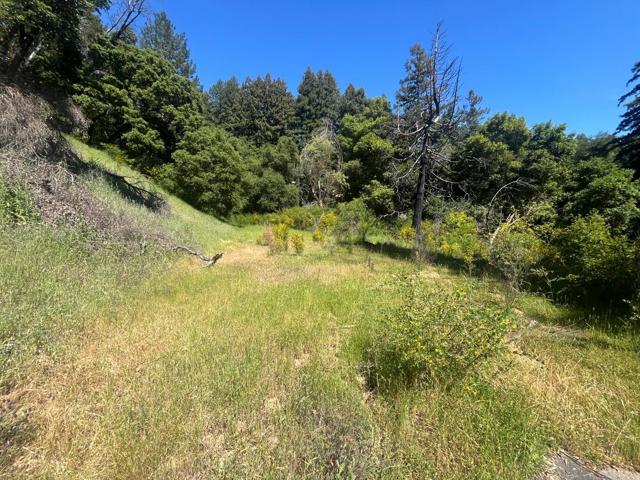 201 Hill House Road, Boulder Creek CA: https://media.crmls.org/mediaz/0d8fec01-346f-4cef-a918-7f1851978bd9.jpg