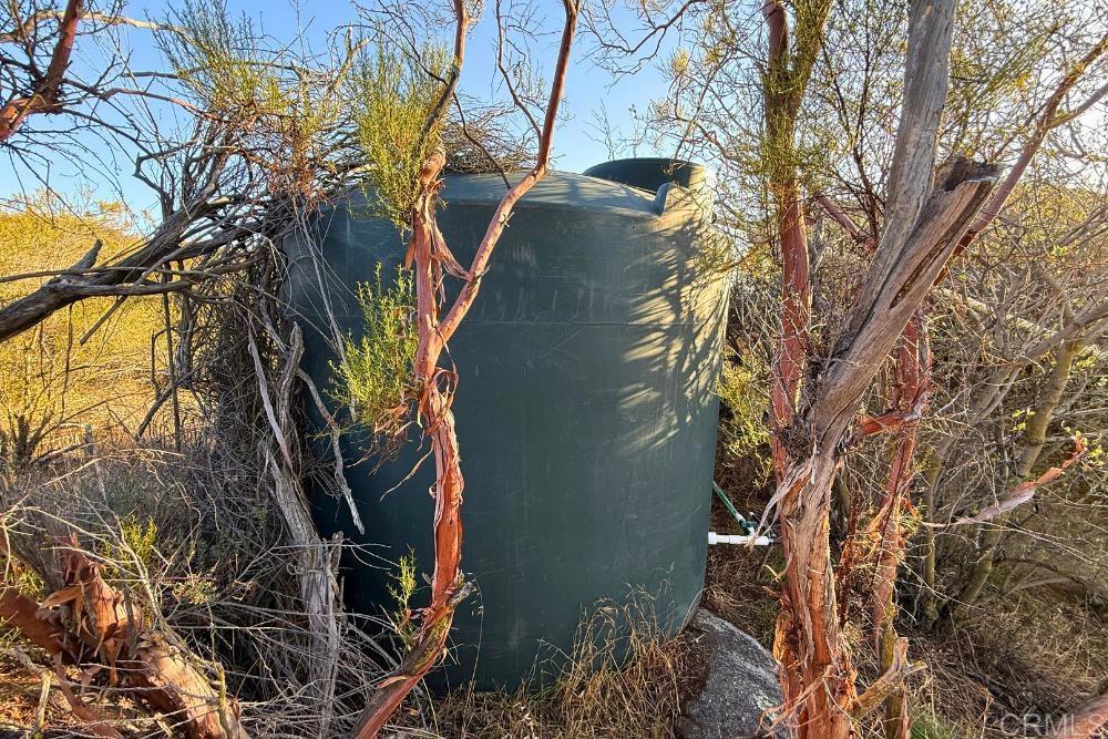 MLS #PTP2507282 image #30