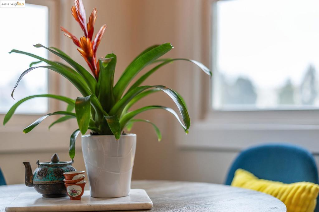 https://media.crmls.org/mediaz/0dcdff2c-0d96-4ce7-9711-e800a3af37f8.jpg?preset=X-Large