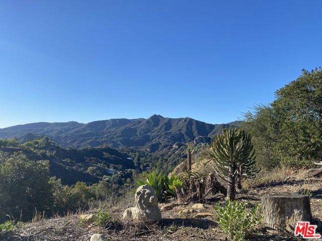 2177 Old Topanga Canyon Rd