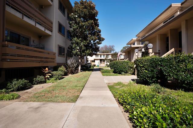 3942 Valeta St, San Diego CA: https://media.crmls.org/mediaz/0dd090eb-1e92-47ee-859e-e94e710f0a5d.jpg