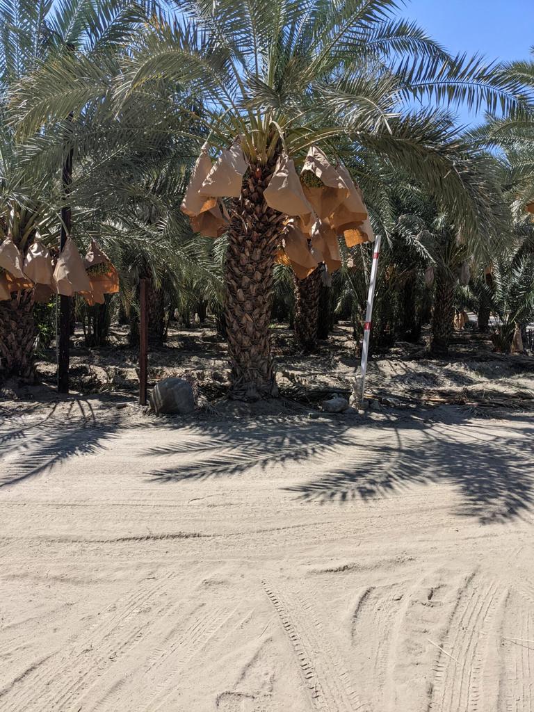 0 Ave 58, Thermal, CA 92274