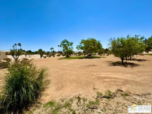 1533 N Sunflower Court, Palm Springs CA: https://media.crmls.org/mediaz/0dd49005-c170-4e52-8622-6a94d383650d.jpg