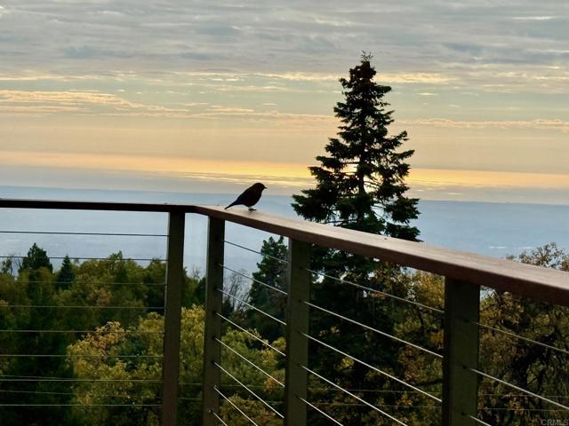 Detail Gallery Image 15 of 75 For 3413 Fern Meadow Rd, Palomar Mountain,  CA 92060 - 3 Beds | 3/1 Baths