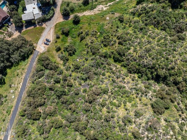 Detail Gallery Image 30 of 36 For 4700 Rising Hill Rd, Altadena,  CA 91001 - – Beds | – Baths