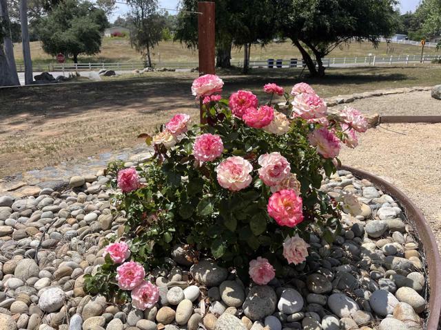 2824 Scenic View Rd, Alpine CA: https://media.crmls.org/mediaz/0de39fb3-2af0-4637-a34b-d987f20fca3f.jpg