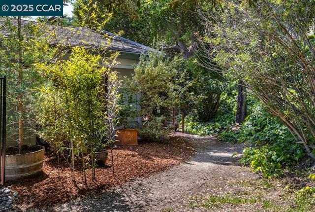 2432 Pine Knoll Dr, Walnut Creek CA: https://media.crmls.org/mediaz/0df442ed-89ad-48e9-9ec5-5d44cfeb44e6.jpg