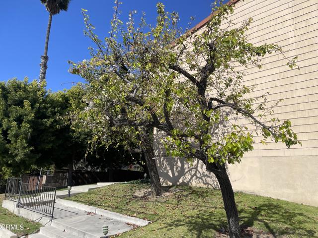 4857 Loma Vista Road, Ventura CA: https://media.crmls.org/mediaz/0df9dda5-72f0-49ea-bafe-7b7f112906d4.jpg
