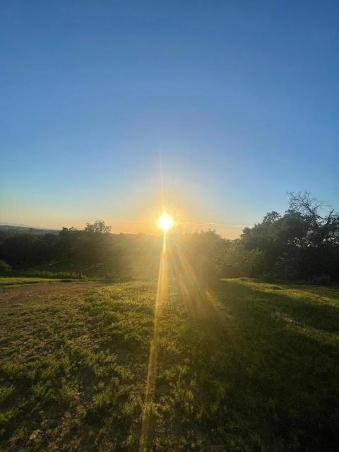 0 Avacado Road, Oroville CA: https://media.crmls.org/mediaz/0e07bee7-7111-4be7-92f2-4989dd3524c7.jpg