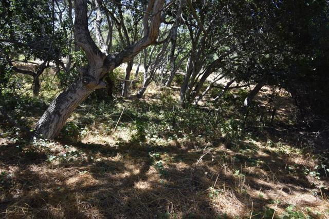 0 Alexander Lane, San Juan Bautista CA: https://media.crmls.org/mediaz/0e117c75-0f08-47c7-9436-dca9a3aa3f7e.jpg