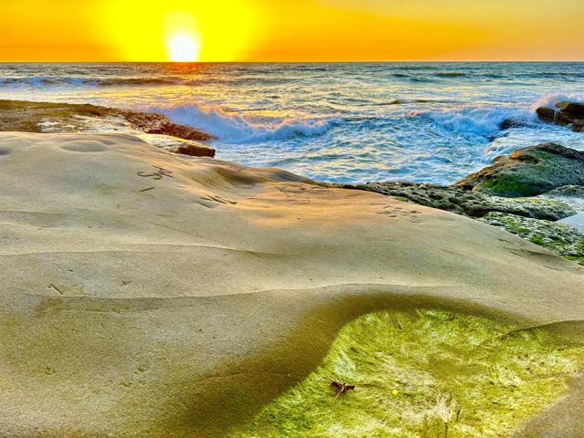 4985 89 Narragansett Ave, San Diego CA: https://media.crmls.org/mediaz/0e14c2a8-0914-42a6-9b51-ddc094d5fc53.jpg