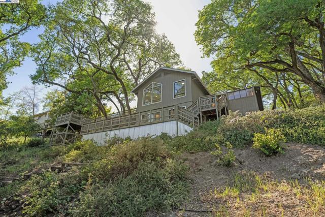 361 Castle Crest Rd, Alamo CA: https://media.crmls.org/mediaz/0e18de4e-665d-46f2-8269-7fcaa8ef7994.jpg
