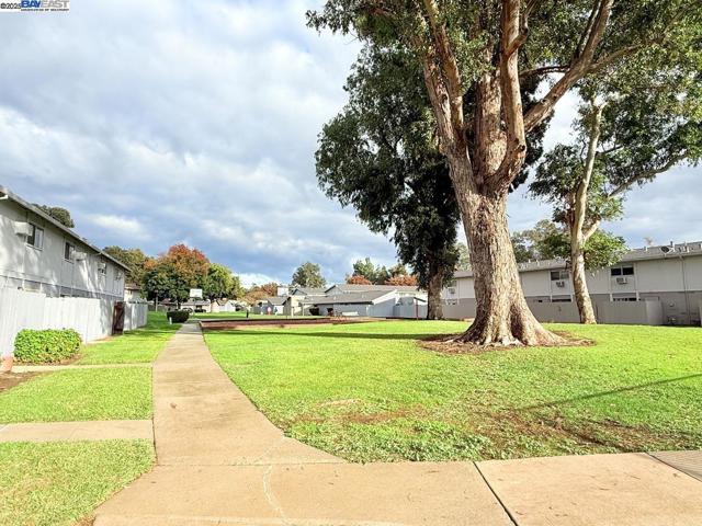 68 El Toro Ct, Fairfield CA: https://media.crmls.org/mediaz/0e1a2f59-f491-4e35-847f-86eb1f0033a9.jpg