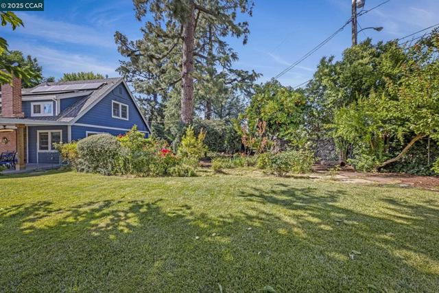 3505 Euclid Ave, Concord CA: https://media.crmls.org/mediaz/0e1edd3a-878b-451a-8cd5-680b99bb50b7.jpg