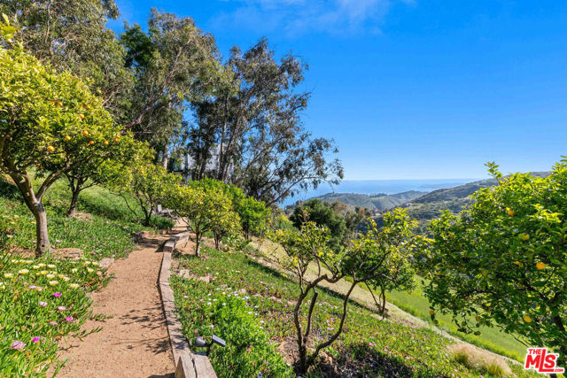 2727 Corral Canyon Road, Malibu CA: https://media.crmls.org/mediaz/0e25f78b-21f1-4153-ac7f-be4f0f2dab91.jpg