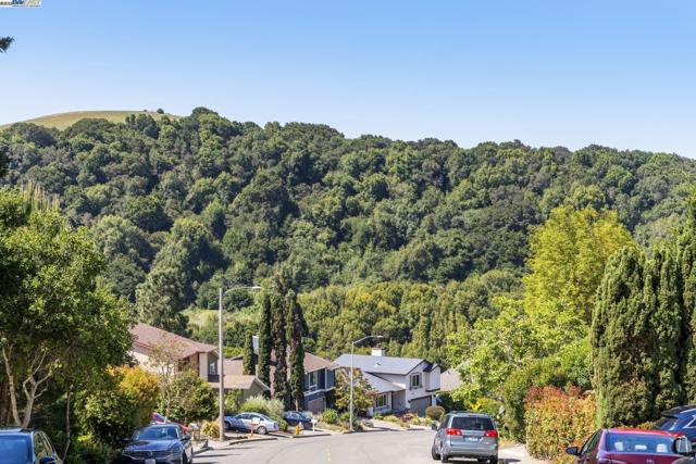 3483 Skyline Dr, Hayward CA: https://media.crmls.org/mediaz/0e27f6b3-447a-4264-b687-18516bc54d8e.jpg