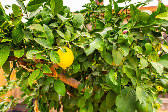 Detail Gallery Image 26 of 26 For 2659 Elizondo Ave, Simi Valley,  CA 93065 - 4 Beds | 2 Baths