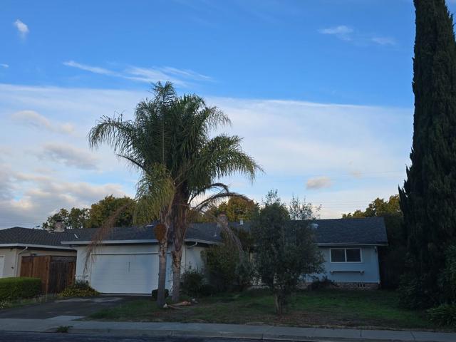 1355 Buchanan Drive, Santa Clara CA: https://media.crmls.org/mediaz/0e2a53f2-c97e-41cf-a0b5-4f53f59c6851.jpg
