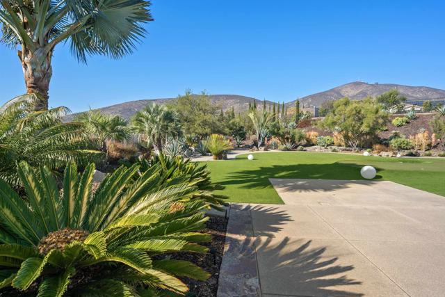 Detail Gallery Image 60 of 72 For 3193 Corte Carlazzo, Chula Vista,  CA 91914 - 4 Beds | 3/1 Baths