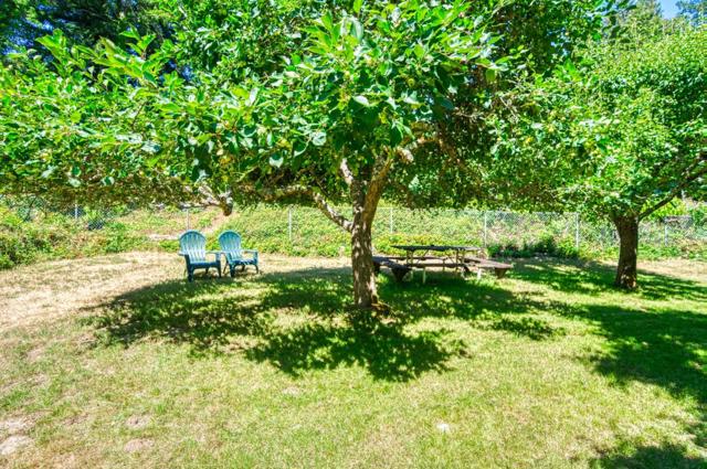 699 Felton Empire Road, Felton CA: https://media.crmls.org/mediaz/0e562c68-3b59-4e70-87bd-3e81efb4b330.jpg