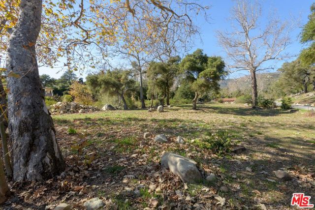 809 Ashley Road, Santa Barbara CA: https://media.crmls.org/mediaz/0e6121c8-6b83-462b-8466-877cdeeb7964.jpg