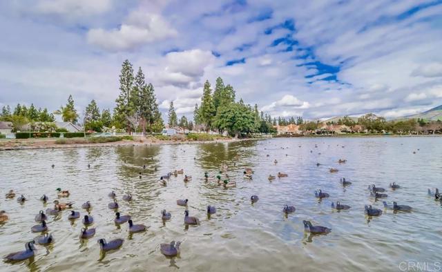 742 Eastshore, Chula Vista CA: https://media.crmls.org/mediaz/0e76dc79-6984-487e-b631-36aed65ddc81.jpg