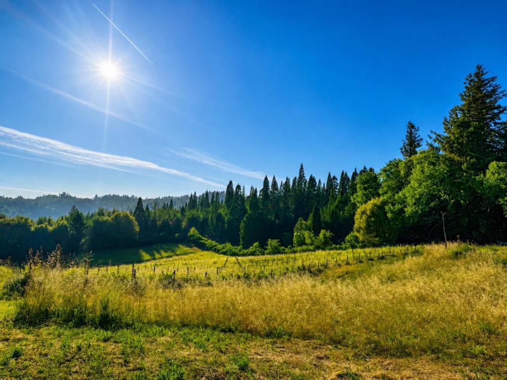 https://media.crmls.org/mediaz/0e77ffdd-d376-49c9-9174-b4d0cd32f022.jpg?preset=X-Large