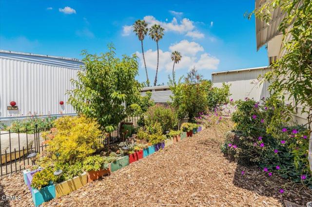 1500 Richmond Rd, Santa Paula CA: https://media.crmls.org/mediaz/0e7f65c9-580a-4dc1-9e79-6acaa9d85e41.jpg
