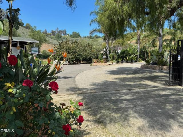 Detail Gallery Image 23 of 39 For 7907 Balcom Canyon Rd, Somis,  CA 93066 - – Beds | – Baths