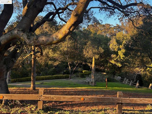 869 Lassen St, Richmond CA: https://media.crmls.org/mediaz/0e8c677c-2722-4216-8bc6-b51bc1f554c6.jpg