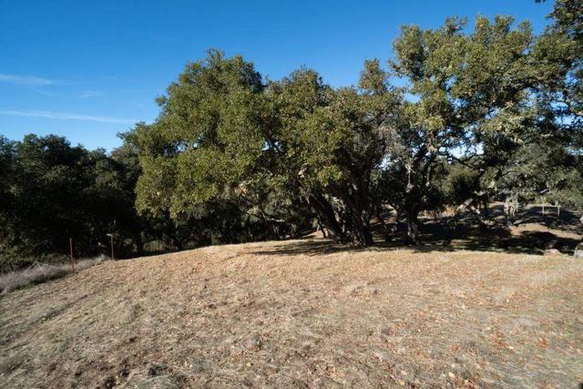 17114 Cachagua Road, Carmel Valley CA: https://media.crmls.org/mediaz/0e8c899b-1f6b-4e75-b5cd-33abf8d8efb0.jpg