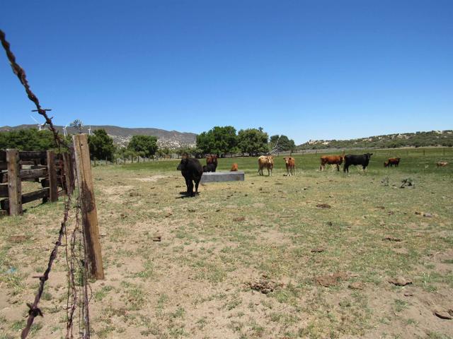 Detail Gallery Image 45 of 47 For 200 Acres Mccain Valley Rd, Boulevard,  CA 91905 - – Beds | – Baths