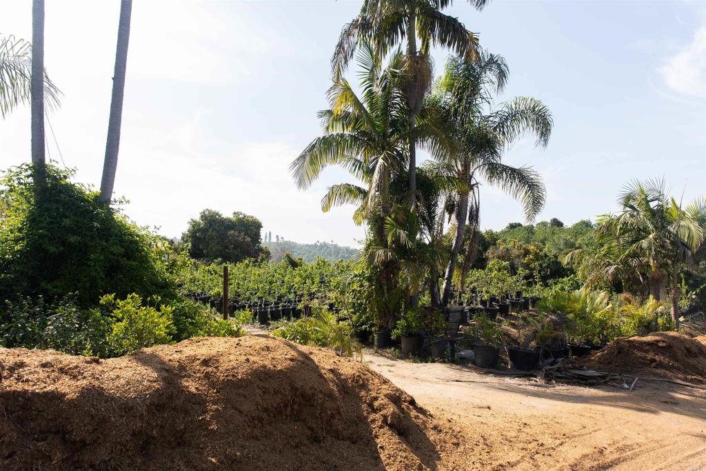 MLS #NDP2505846 image #15