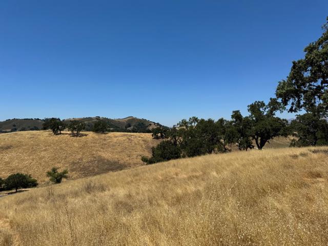 0 W San Martin Avenue, San Martin CA: https://media.crmls.org/mediaz/0ea32f79-8c6f-4067-acab-be4be343671b.jpg