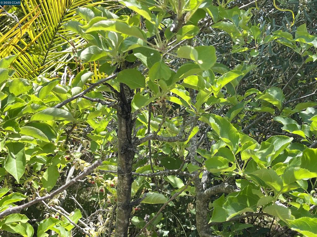 https://media.crmls.org/mediaz/0ea51f0d-f5aa-4182-a54d-34d6f9e5c2ab.jpg?preset=X-Large