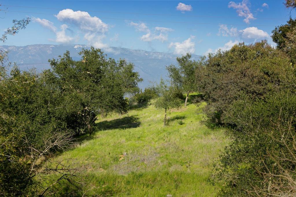 MLS #NDP2506437 image #6