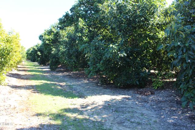 Detail Gallery Image 35 of 41 For 1550 Santa Paula St, Fillmore,  CA 93015 - 3 Beds | 1 Baths